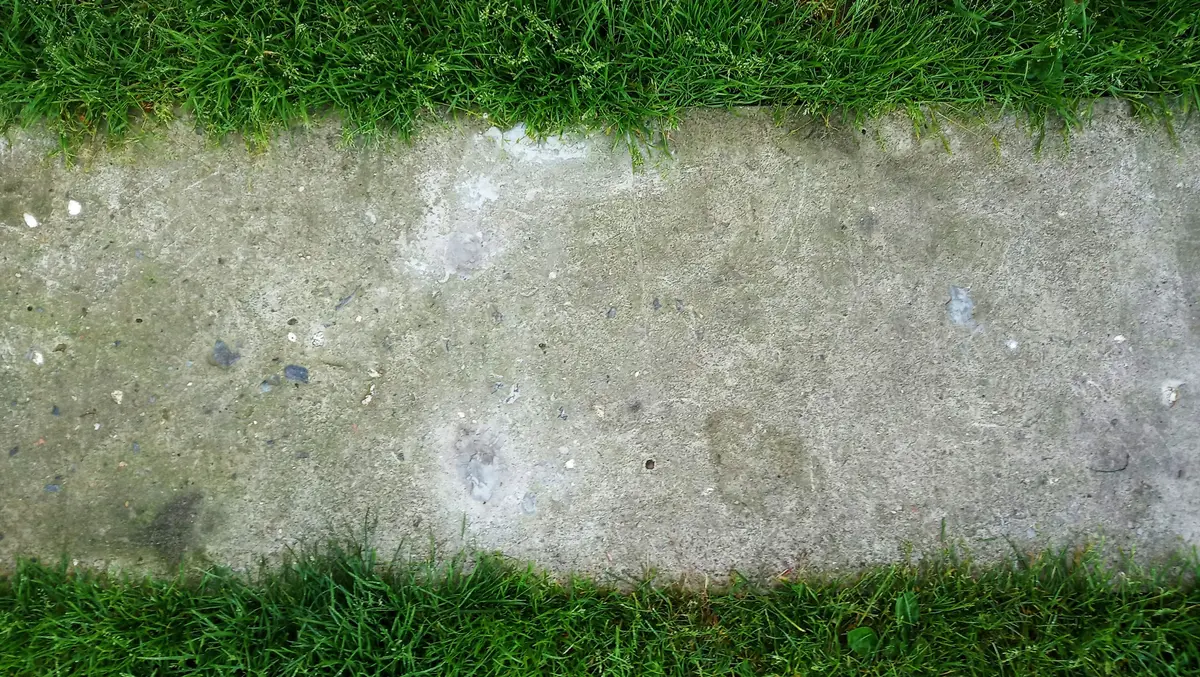 A cleanly defined lawn edge following a concrete walkway