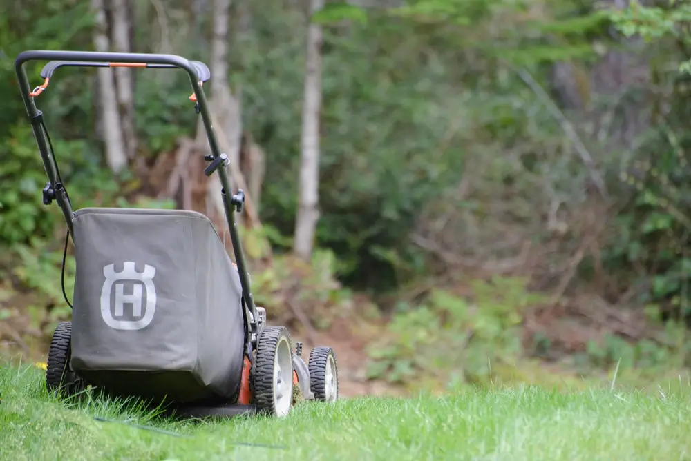 An unattended push mower resting on a green lawn beside trees