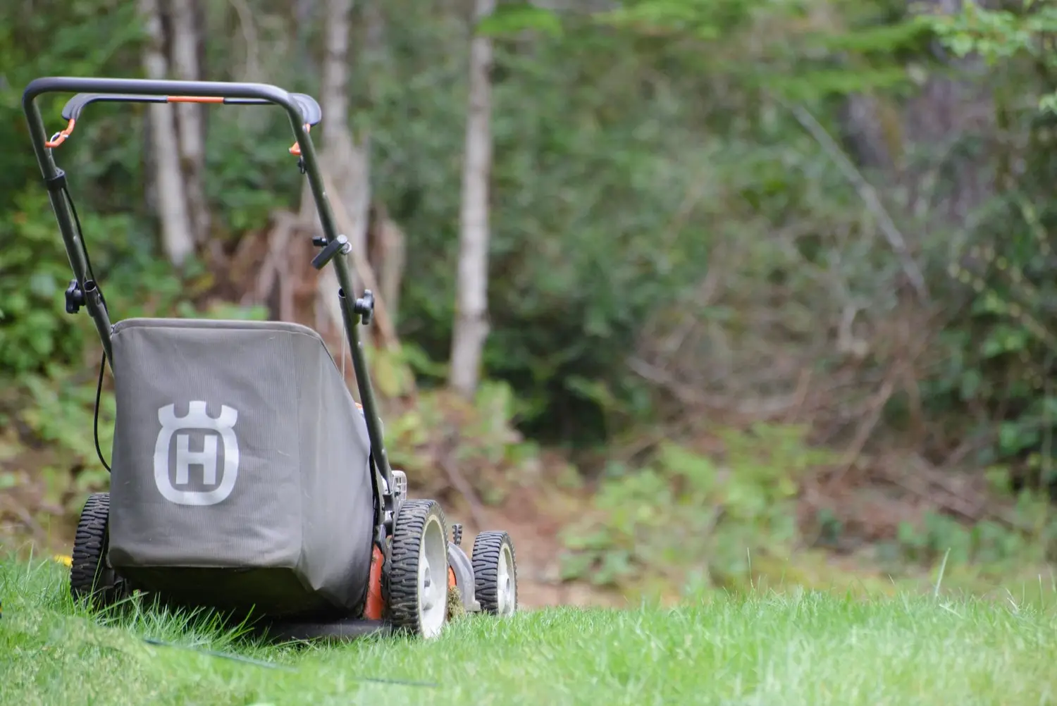 An unattended push mower resting on a green lawn beside trees